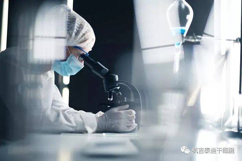 干細胞技術(shù)治療漸凍癥的潛在挑戰(zhàn) 不良反應(yīng)、費用與未來展望