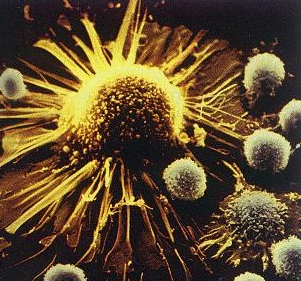 生命科技前沿的領(lǐng)航者 專注于人體干細(xì)胞技術(shù)開(kāi)發(fā)與應(yīng)用的企業(yè)簡(jiǎn)介